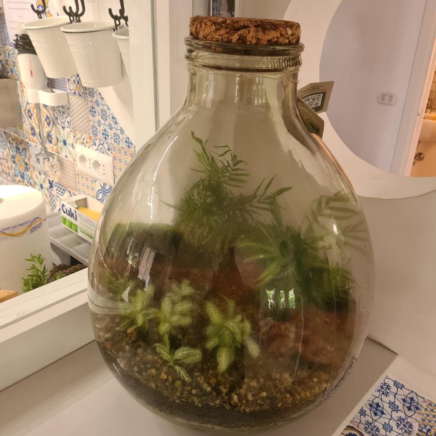 A 2 Passi Dagli Dei Bed and Breakfast Agerola Eksteriør billede